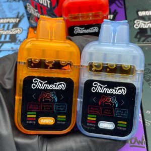 Dropout Academy Trimester Edition | Dropout 3g Disposable